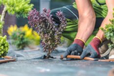 micro_drip_irrigation